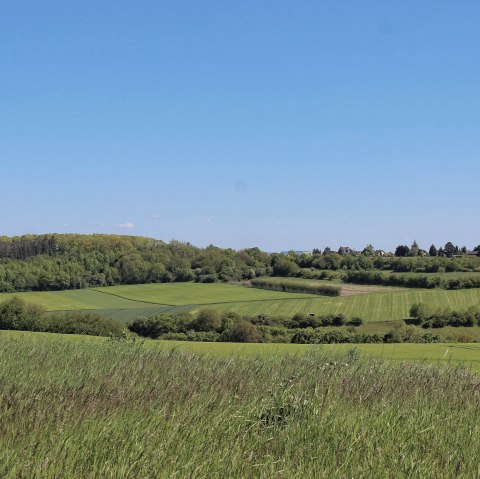 Wandern durch die Bördelandschaft