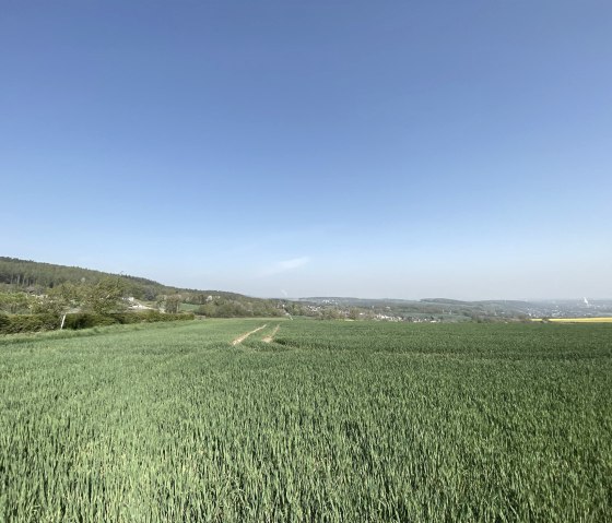 Bördelandschaft mit weitem Blick, © Rureifel-Tourimus e.V.