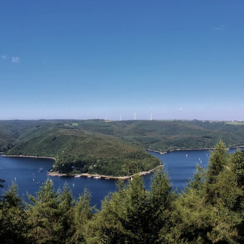 Eifel uitzicht Hirschley, © Rureifel-Tourismus e.V.