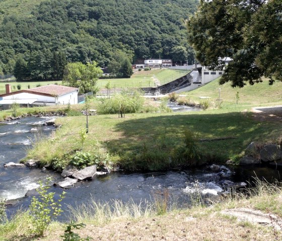 Randonnée autour d'Obermaubach, © Eifel Tourismus GmbH, AR-shapefruitAG