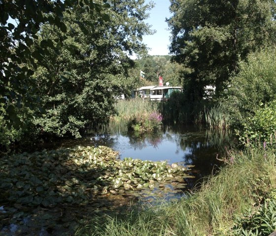 Étang au camping, © Campingplatz Felsenblick