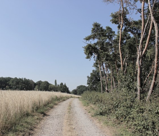 Der Wanderweg, © Rureifel-Tourismus e.V.