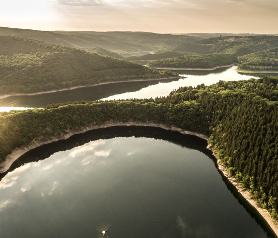 Wildnis von morgen: Nationalpark Eifel, © Eifel Tourismus GmbH, D. Ketz