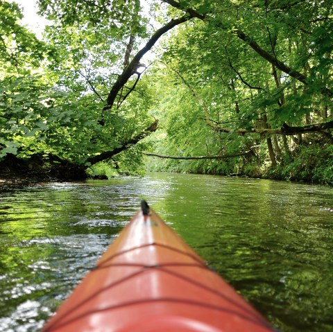 Ein besonderes Erlebnis ist das Befahren der Rur mit dem Kanu - ein ganz anderer Blickwinkel!, © fotolia.de