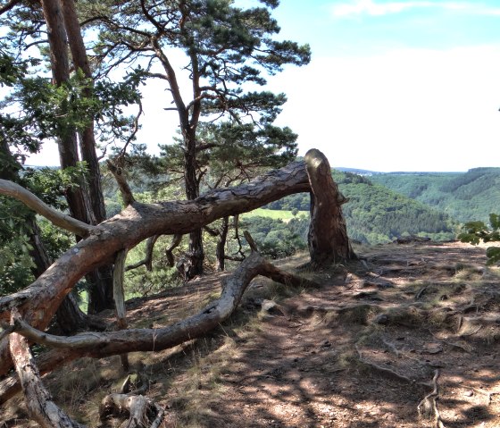 Ruraue Ausblick, © http://der-eifelyeti.de/