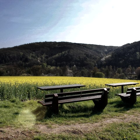 Pause mit Aussicht ins Rapsfeld