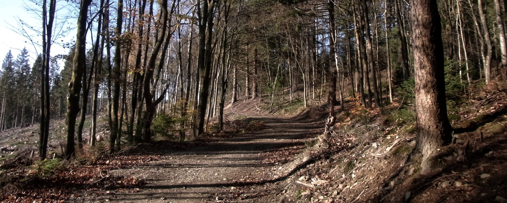 [46] - Weheschlucht, © Rureifel-Tourismus e.V.