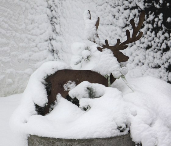Unser Hirsch im Schnee