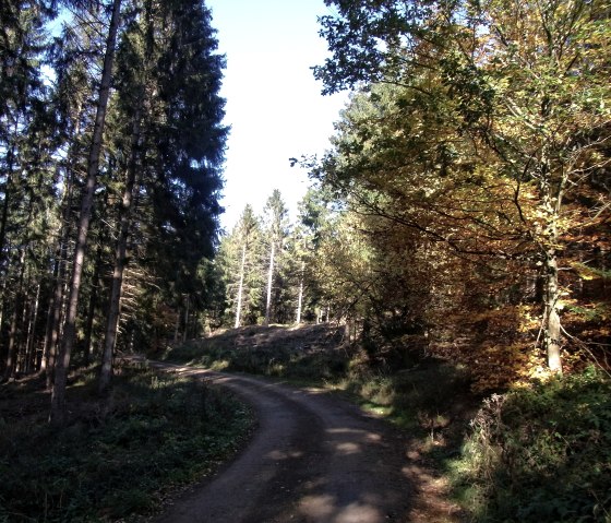 Wanderweg Nr. 46 - Weheschlucht, © Rureifel-Tourismus e.V.