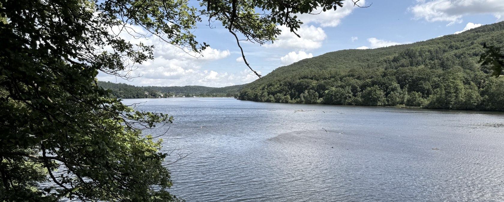 Ausblick auf den Stausee, © Rureifel-Tourismus e.V., Dennis Winands