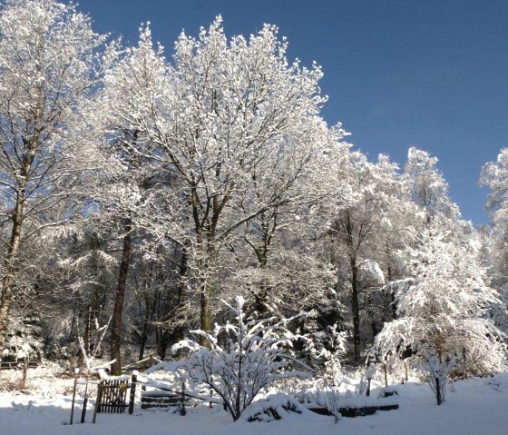 Winterwunderland