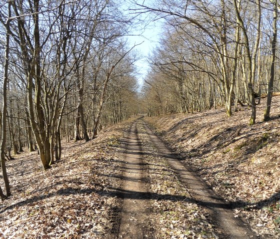 Durch den herbstlich bunten Wald, © Eifel-Yeti