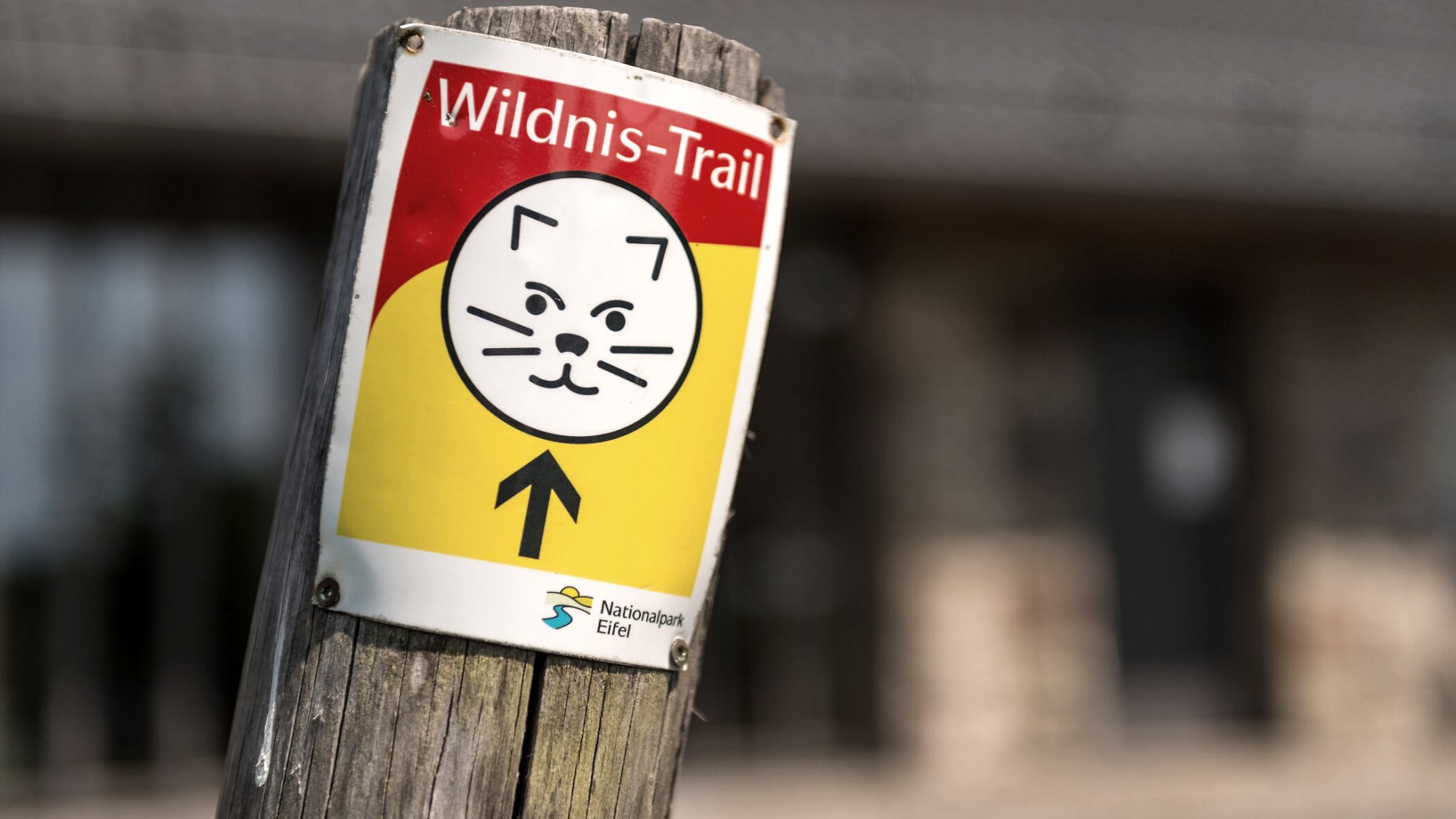 Wildnis-Trail Symbol, © Eifel-Tourismus GmbH, Dominik Ketz