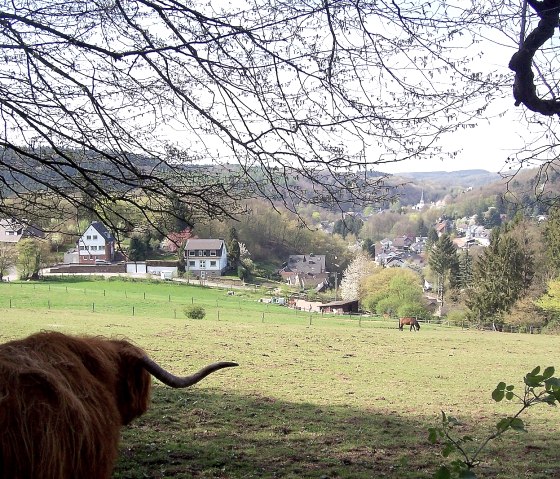 05-tierisch-schane-aussicht, © Dieter Gier