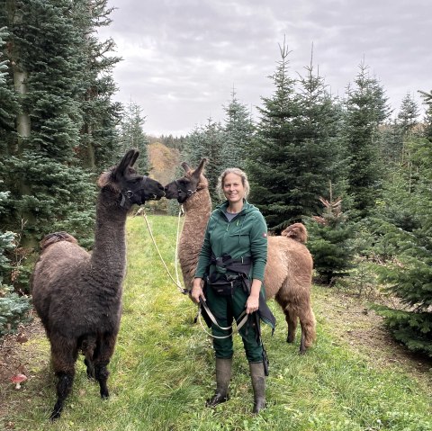 Waldbaden mit Lamas und Alpakas, © Anne Knein