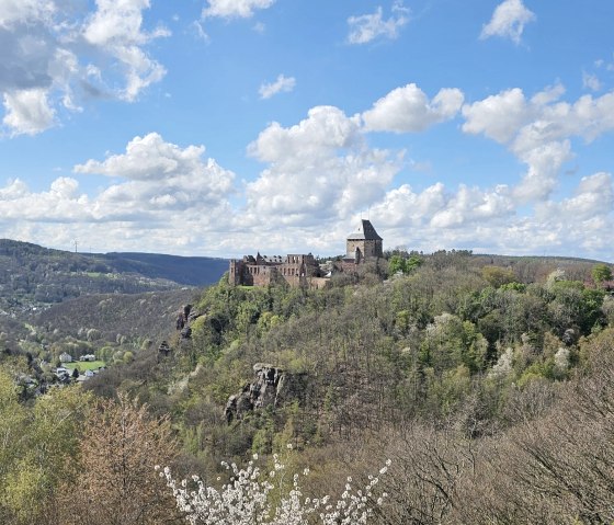 Eifelblick von der benachbarten Jugendherberge