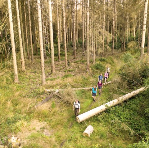 Wandeling met een ranger, © D. Ketz