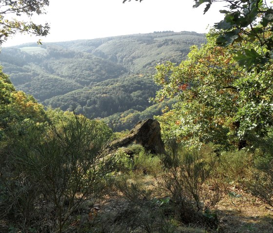 Weitblick, © Der-eifelyeti.de