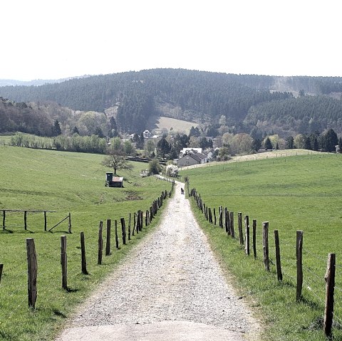 09-vue-orientation-eifel-c-dieter-gier, © Dieter Gier