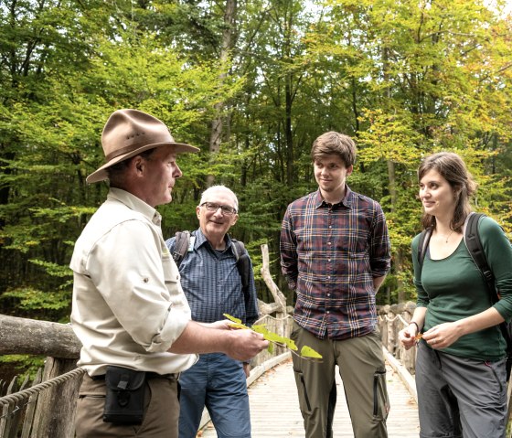 Führung mit dem Ranger auf dem Wilden Weg, © Nationalpark Eifel, Dominik Ketz