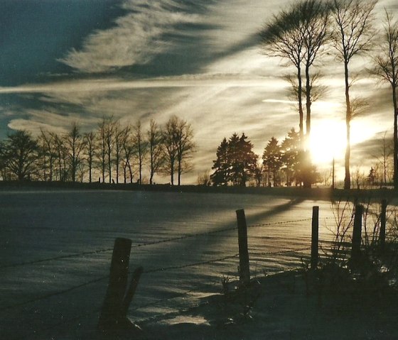 Hiver Branche courbée