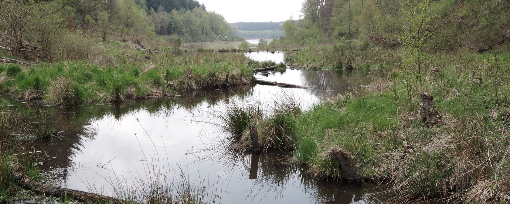 Biberrevier, © Biostation Düren