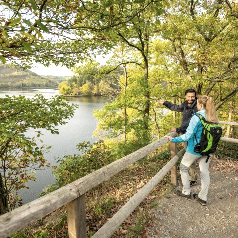 Wildnis-Trail Tronçon 2 - Lac supérieur, © Eifel Tourismus GmbH, Dominik Ketz