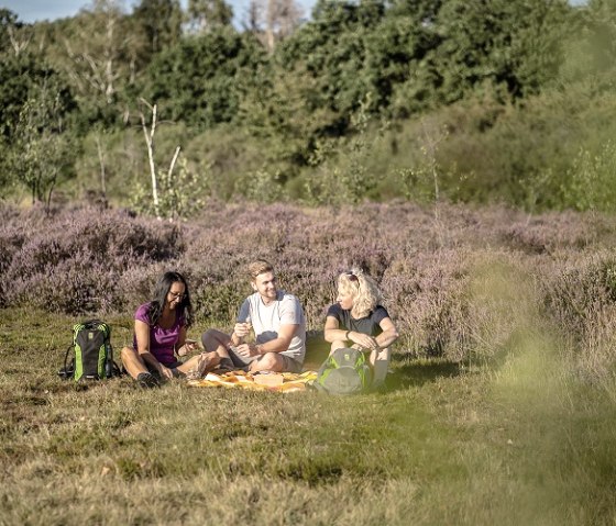 Picknick in der Dover Heide, © Kreis Düren_Dennis Stratmann