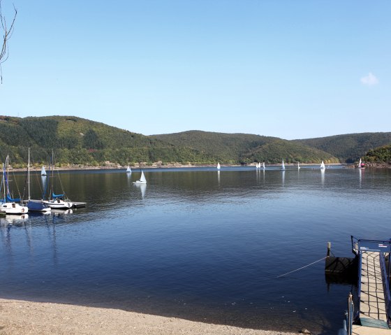 Buntes Treiben auf dem See