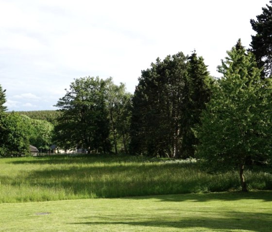 Vue sur le jardin