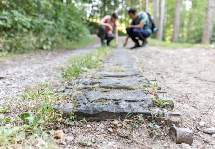 Panzerkette im Hürtgenwald, © Eifel Tourismus GmbH, Anton Röser, Shapefruit AG