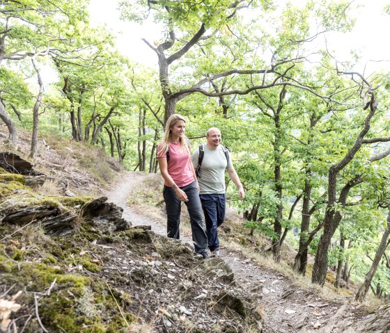 Wandere durch knorrige Eichen auf dem Meuchelberg, © Eifel Tourismus GmbH, AR-shapefruitAG