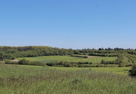 Wandern durch die Bördelandschaft