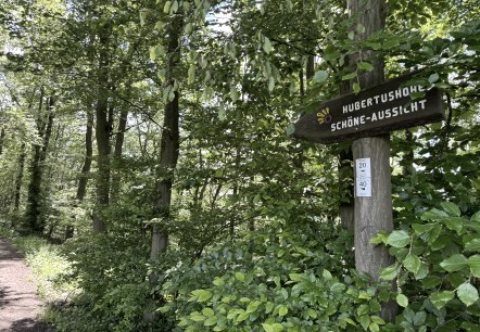 Nationalparkrandweg, © Rureifel-Tourismus e.V., Dennis Winands