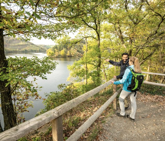 Wildnis-Trail Tronçon 2 - Lac supérieur, © Eifel Tourismus GmbH, Dominik Ketz