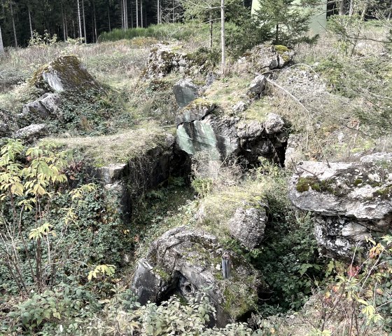 Überreste gesprengter Bunker, © Rureifel-Tourismus e.V., Michelle Wiesen