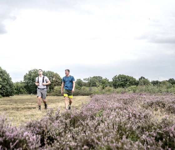 Drover Heide, © Dennis Stratmann | Kreis Düren