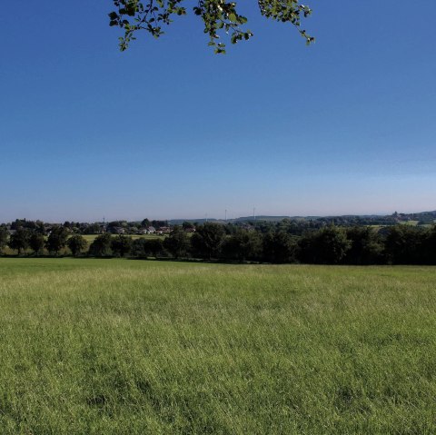 Eifel bekijken Franziskus-Gymnasium, © Rureifel Tourismus e.V.