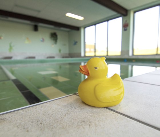 Canard de bain bassin de natation, © Gemeinde Simmerath