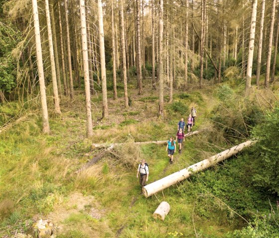 Wandeling met een ranger, © D. Ketz