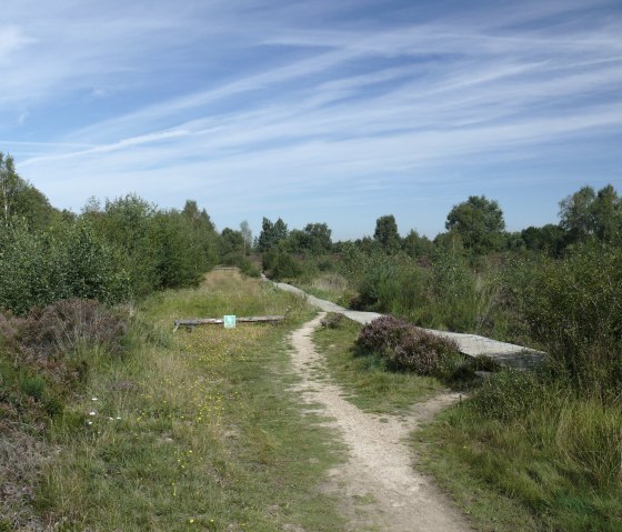 Über den Steg durch die Heide, © Gemeinde Kreuzau