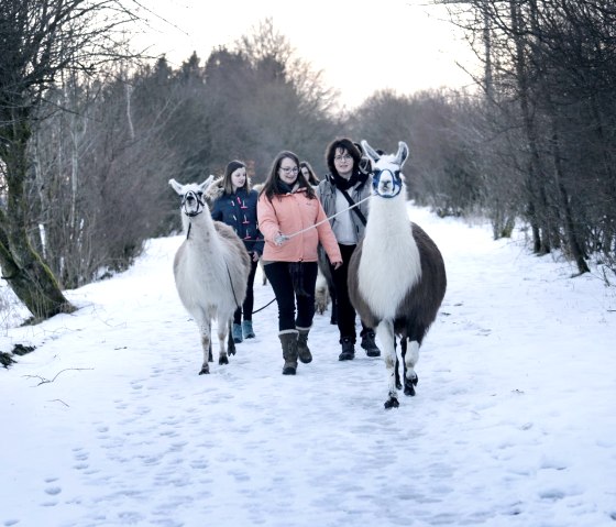 Winterwandeling, © Loni Liebermann