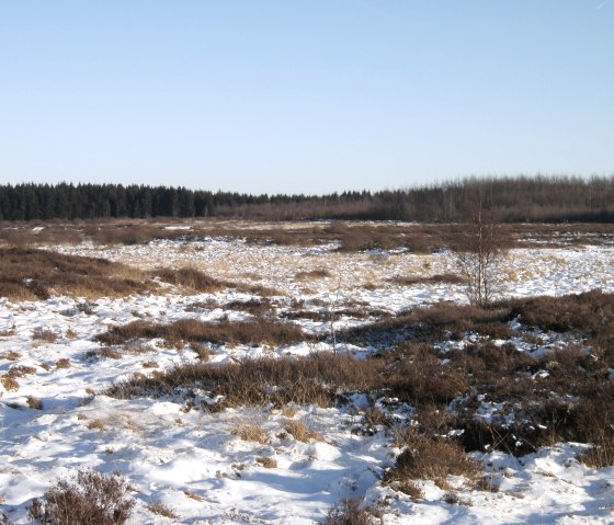 Hautes Fagnes 2