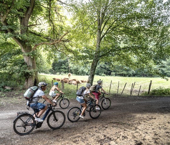 Familie auf dem RurUfer-Radweg, © Dennis Stratmann | Grünmetropole e.V.