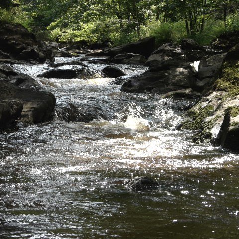 La Roer près de Monschau, © Monschau-Touristik