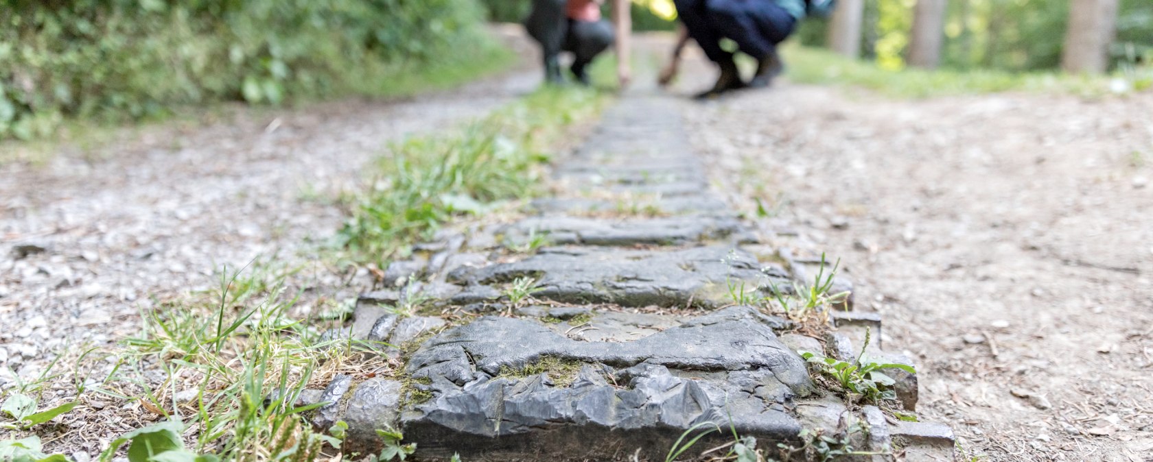 Panzerkette im Hürtgenwald, © Eifel Tourismus GmbH, Anton Röser, Shapefruit AG