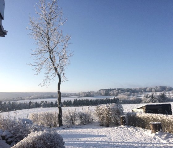 Auch im Winter ein Augenschmauß