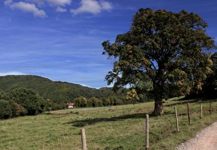 Blick über Felder und Wiesen