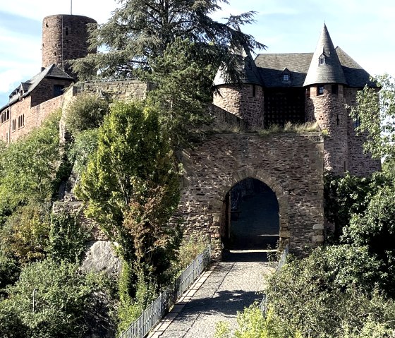 Aussicht auf die Burg, © Rureifel-Tourismus e.V.