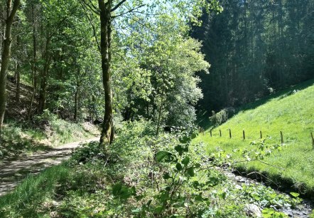 Tiefenbachtal im Frühjahr, © Gemeinde Simmerath